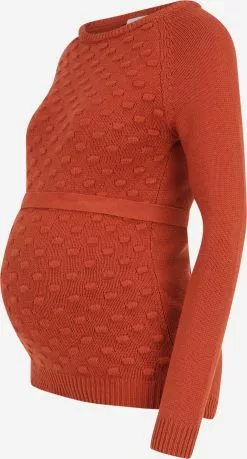 Mamalicious Fijngebreide Truien Trui Crysta Dames Roestrood