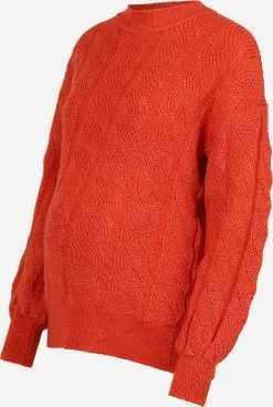 Mamalicious Basic Truien Trui VINNIE Dames Kreeft